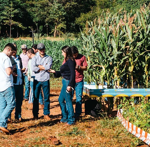 Imagem Agronomia