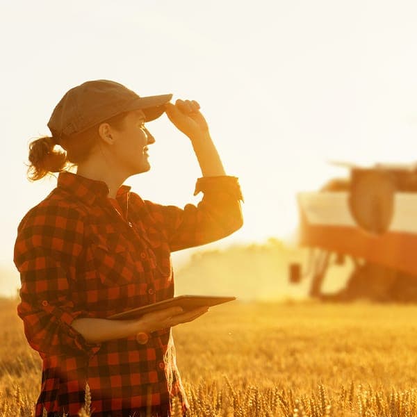 Imagem MBA em Agronegócios